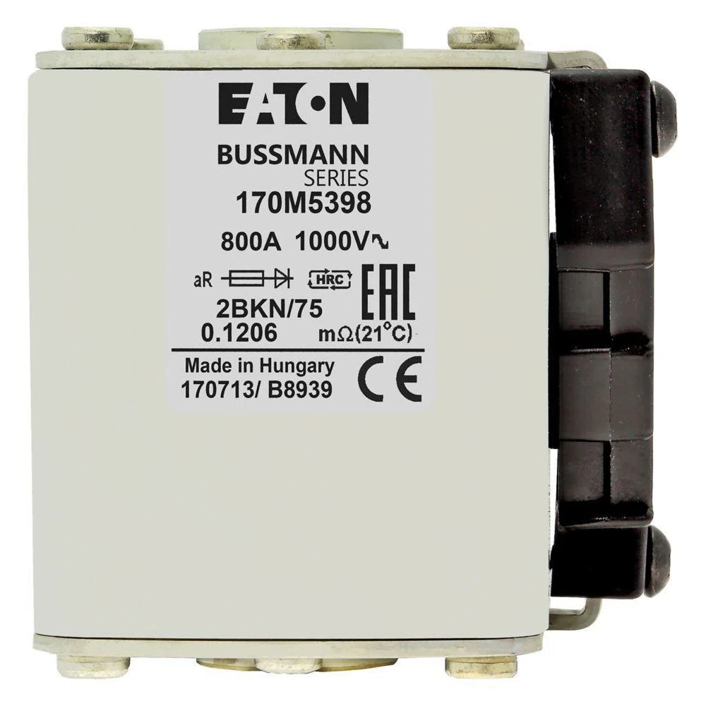 Bussmann_170M5398.jpg