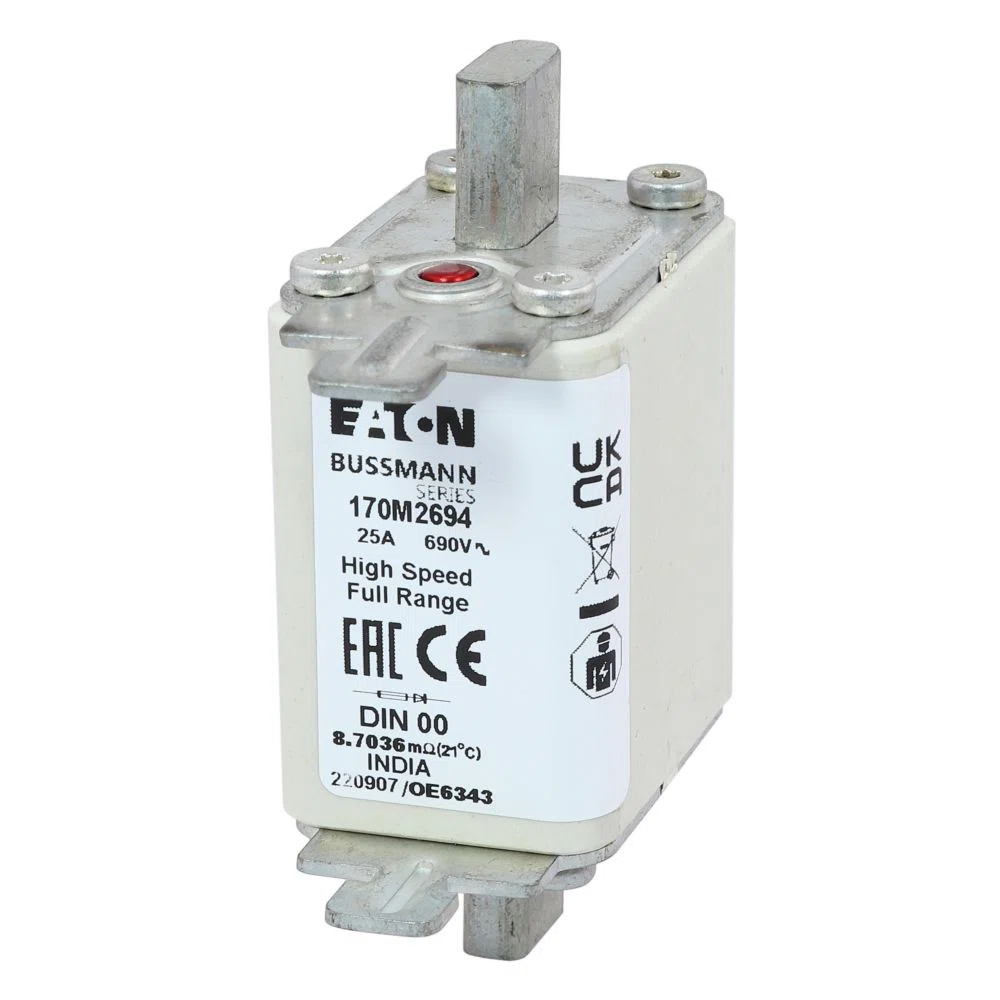 Bussmann_170M2698_7.jpg
