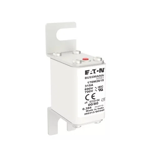 Bussmann_170M2619.jpg