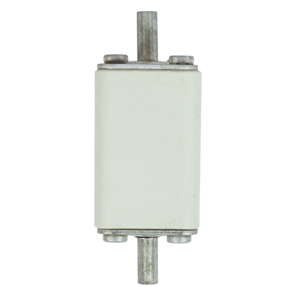 Bussmann_170M2692_5.jpg