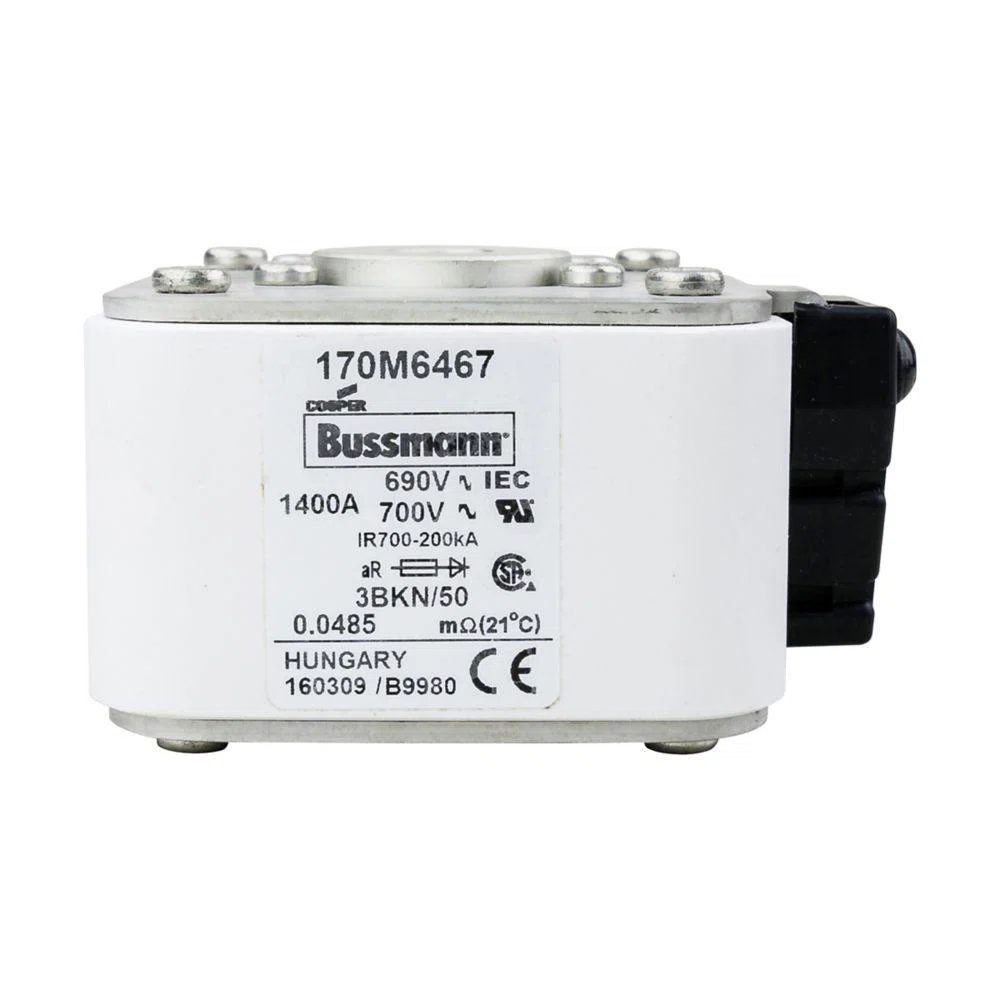 Bussmann_170M6467.jpg