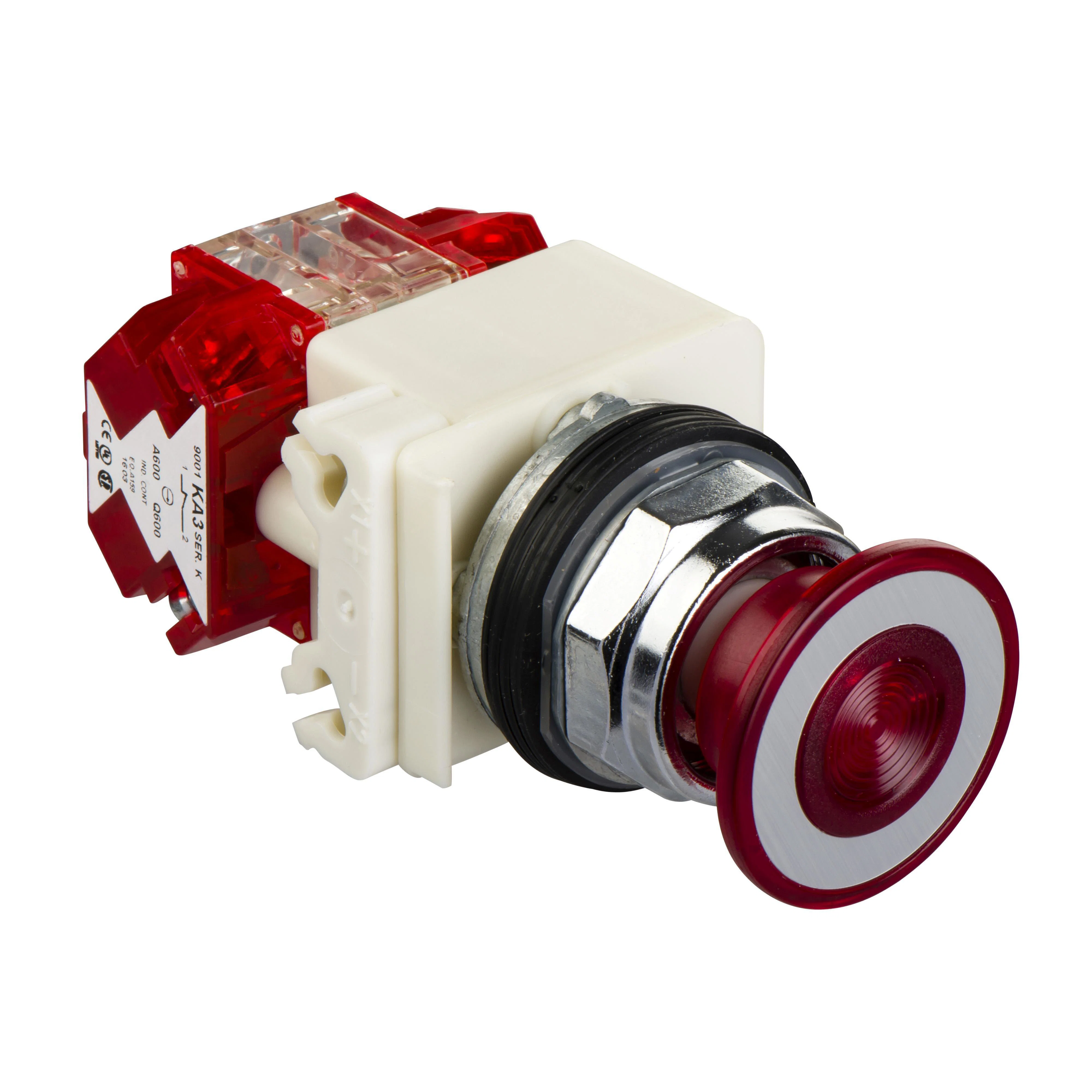 Schneider_Electric_9001KR9P38RH25.jpg