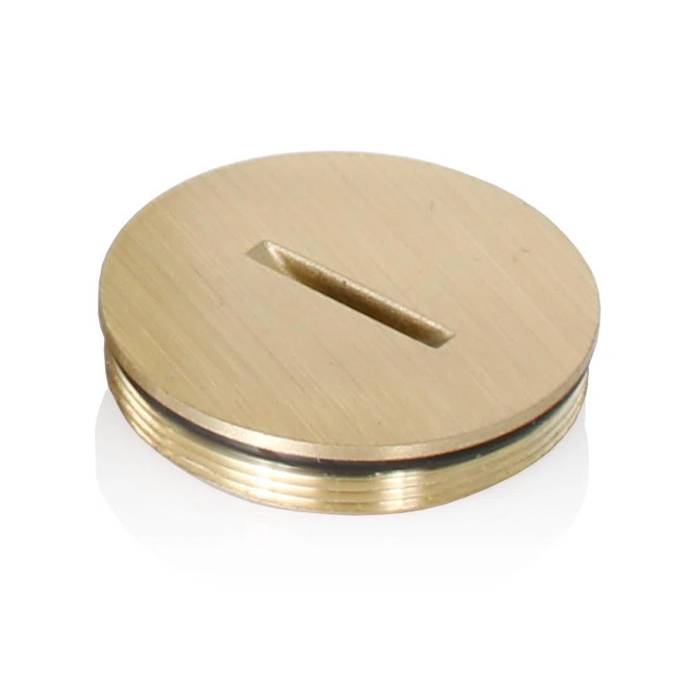 Leviton_5249-CAP.jpg
