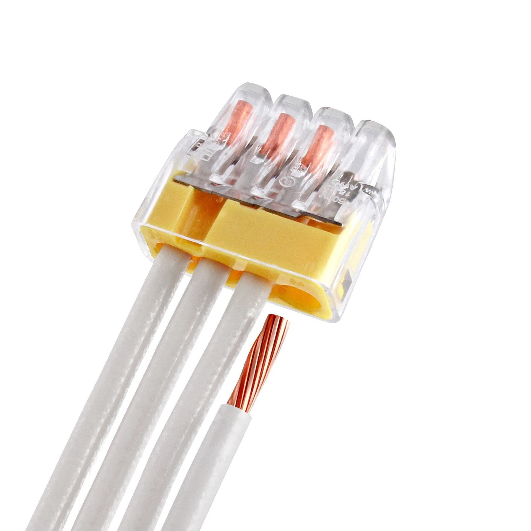 IDEAL_30-1034.jpg