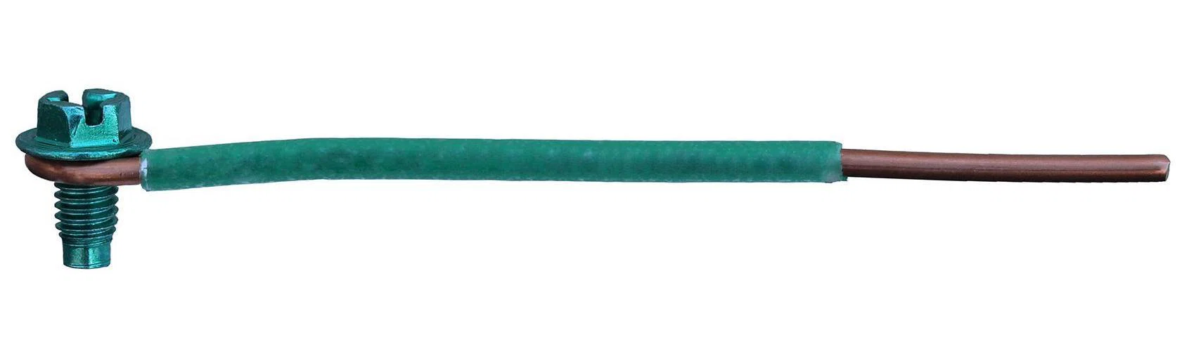 Dottie_GP1050.jpg