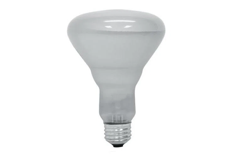 GE_Lamps_65BR30_PROLINE.jpg