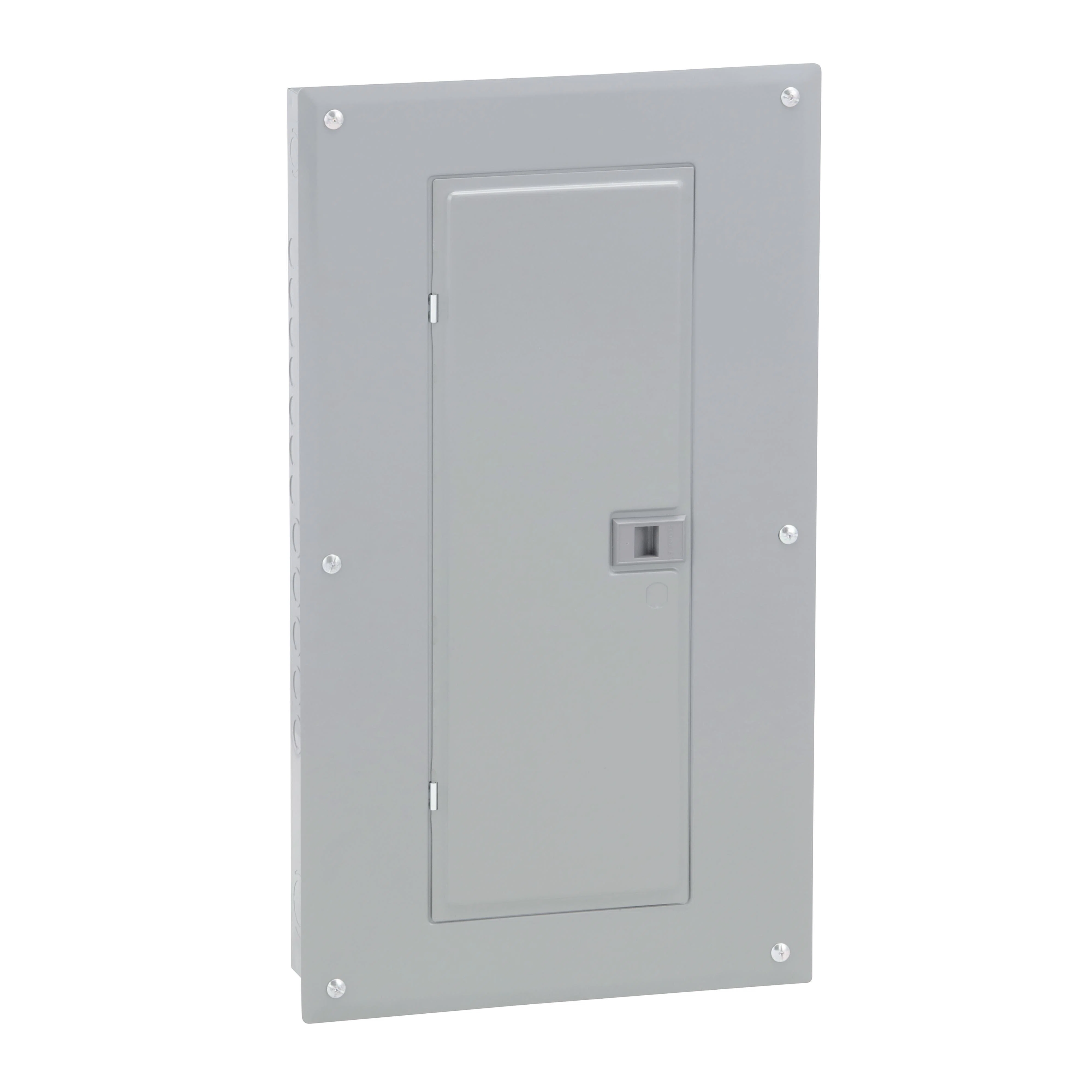 Square_D_HOM2448M125PC.jpg