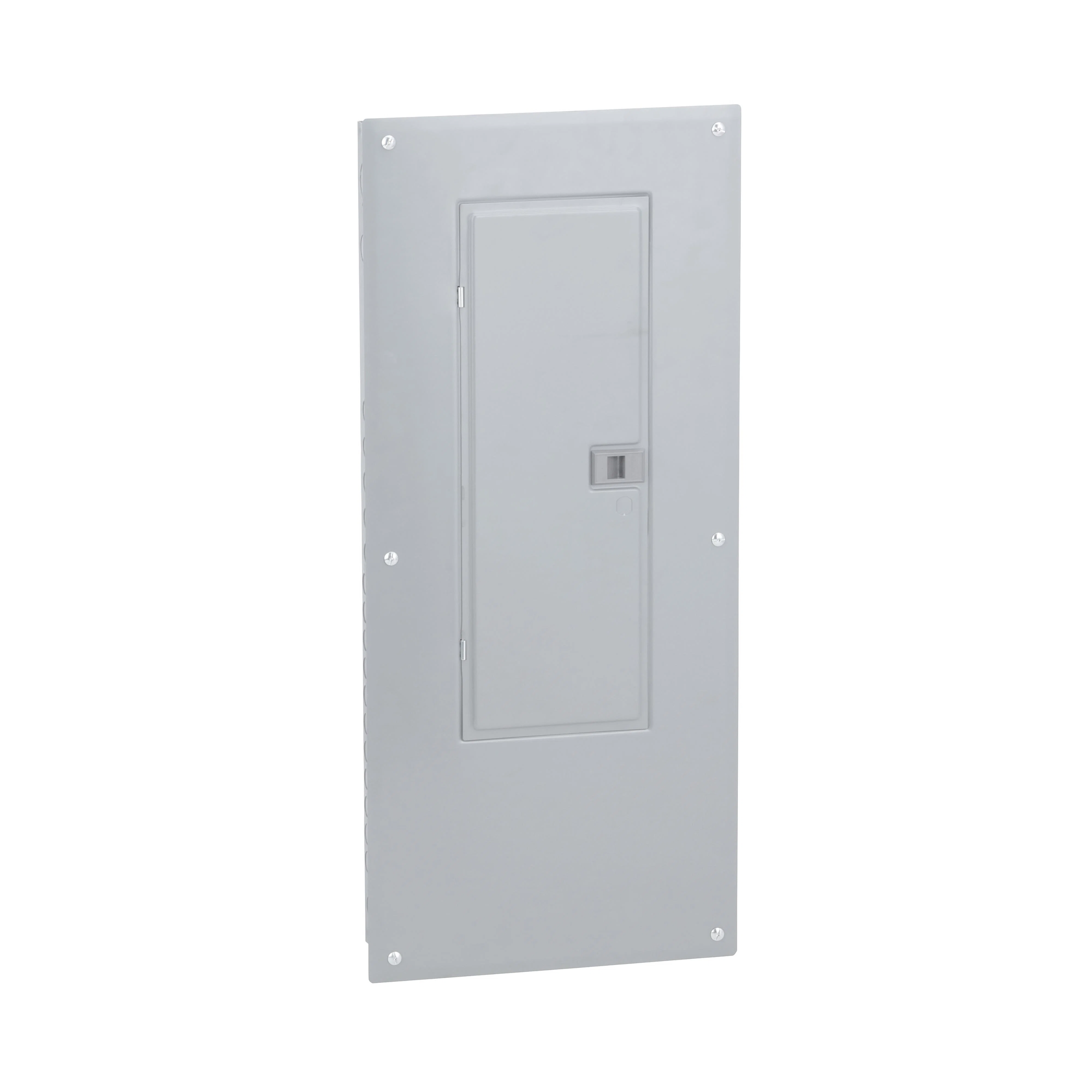Square_D_HOM3060M100PC.jpg