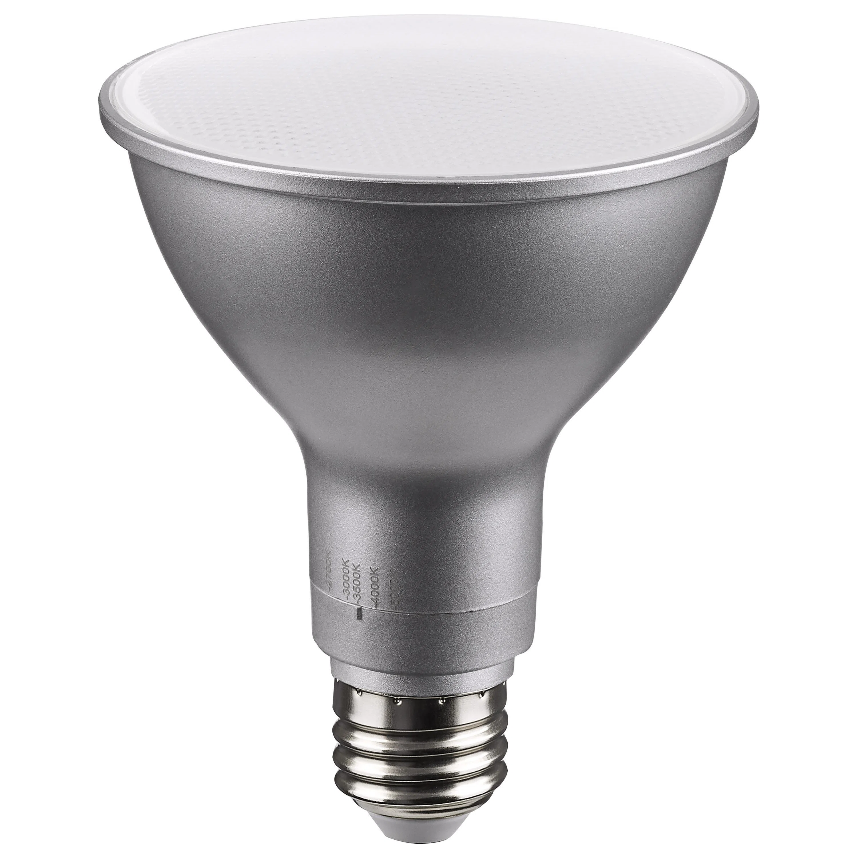 SATCO_S11587_7.jpg