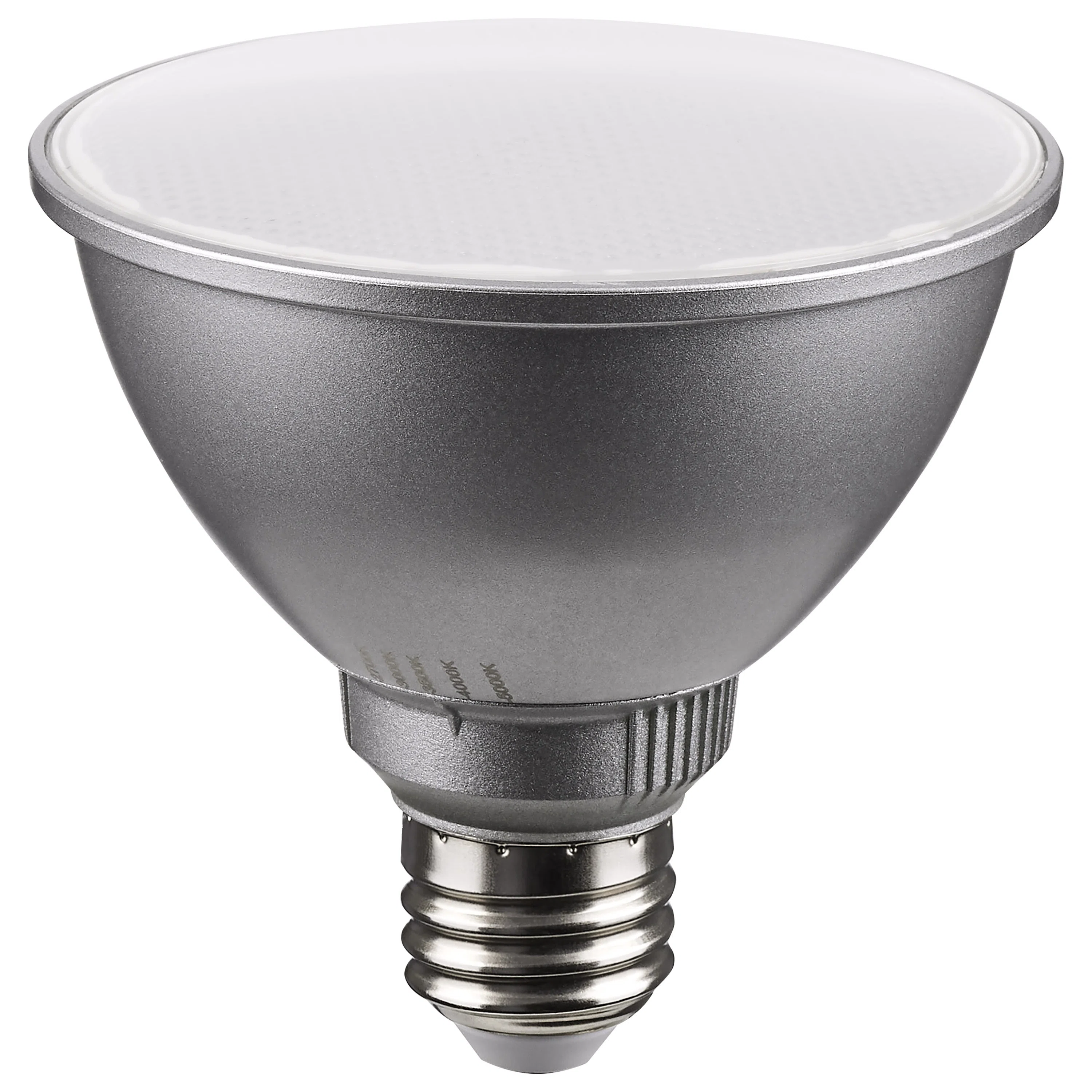 SATCO_S11583_4.jpg
