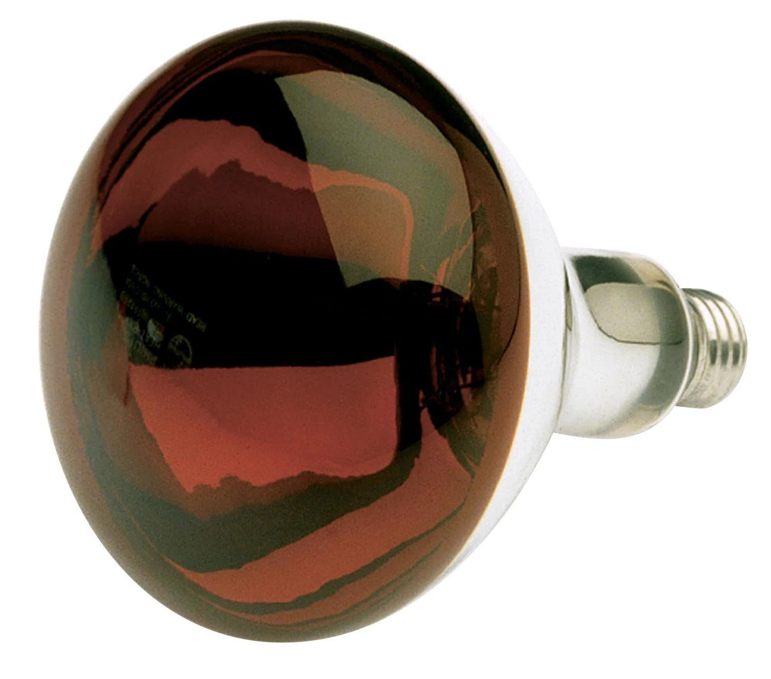 SATCO_S4884.jpg